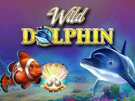Wild Dolphin screenshot